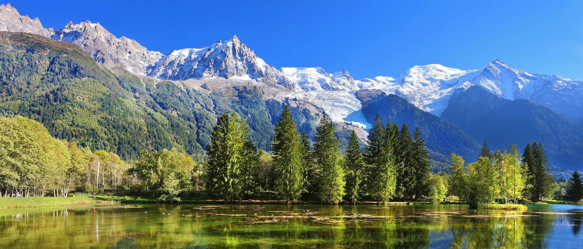 Chamonix Field Guide | Elitemalls