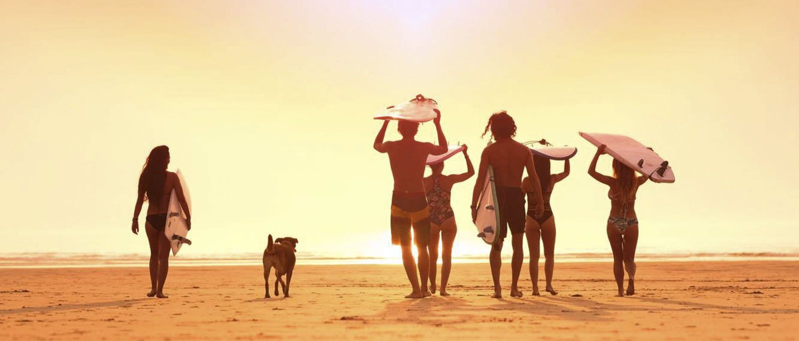 ACTION CULTURE | Elitemalls