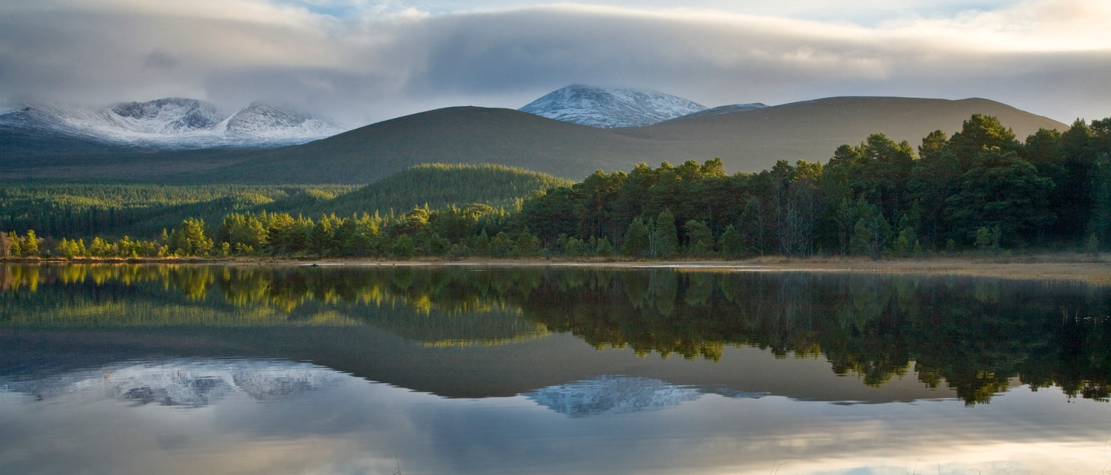 Field Guide: Cairngorms, Scotland | Field Guides | Elitemalls UK