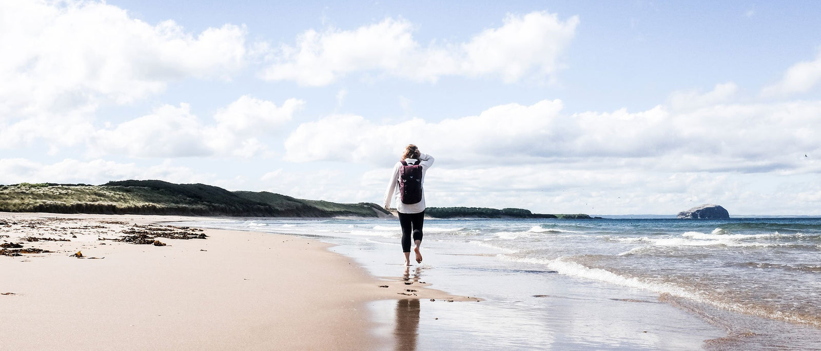 Eco Series: Initiatives to Help Save the World | Elitemalls