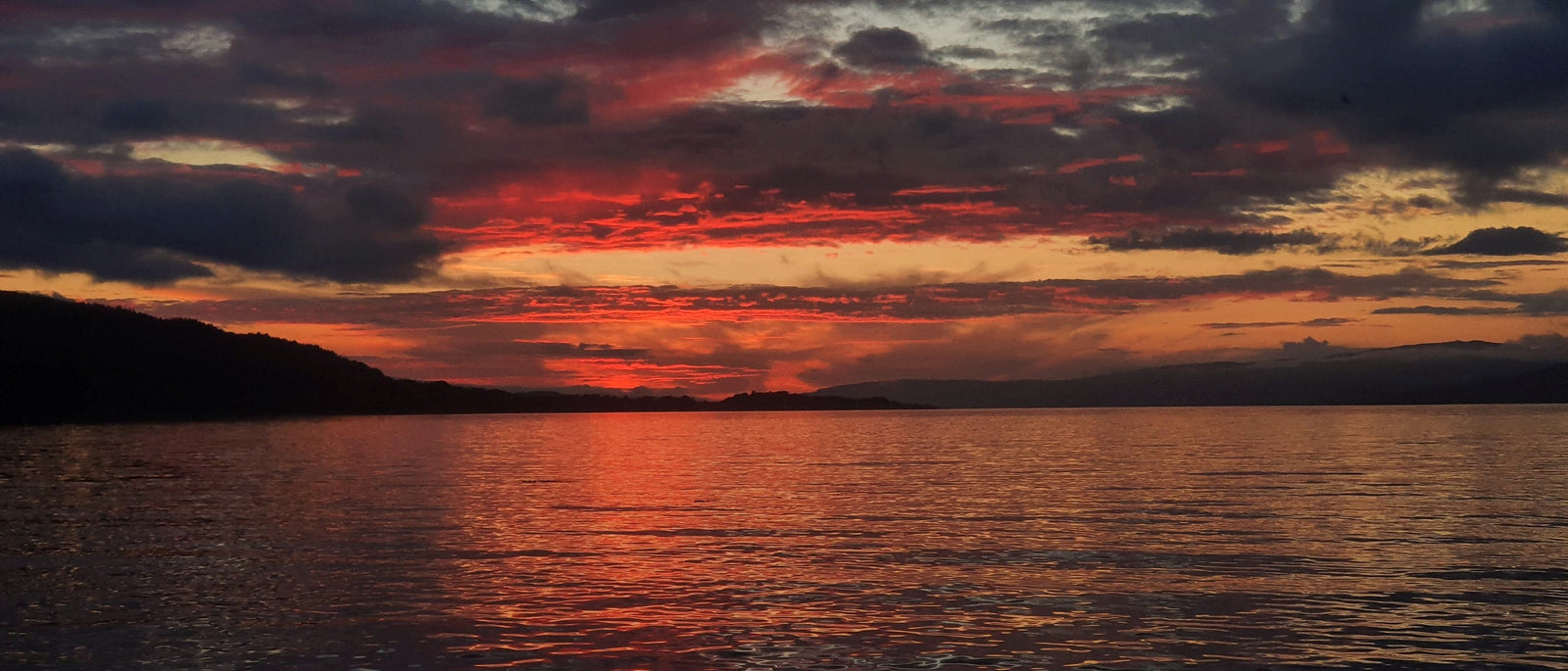 Field Guide: Mull, Scotland | Field Guides | Elitemalls UK