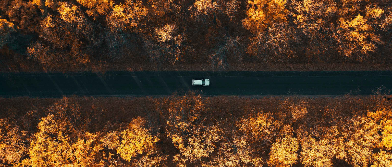 Hypermiling | Get More Miles From Your Next Road Trip | Camp Notes | Elitemalls UK