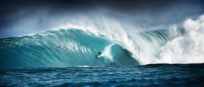 This is the Best Book Ever Written About Surfing