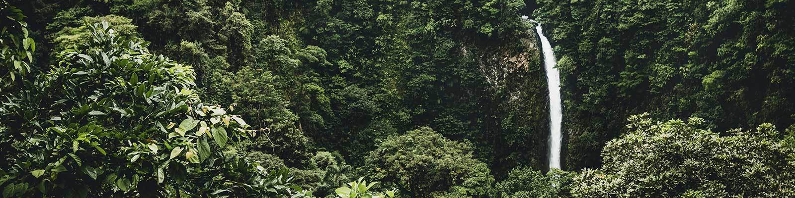 Eco Friendly Collection