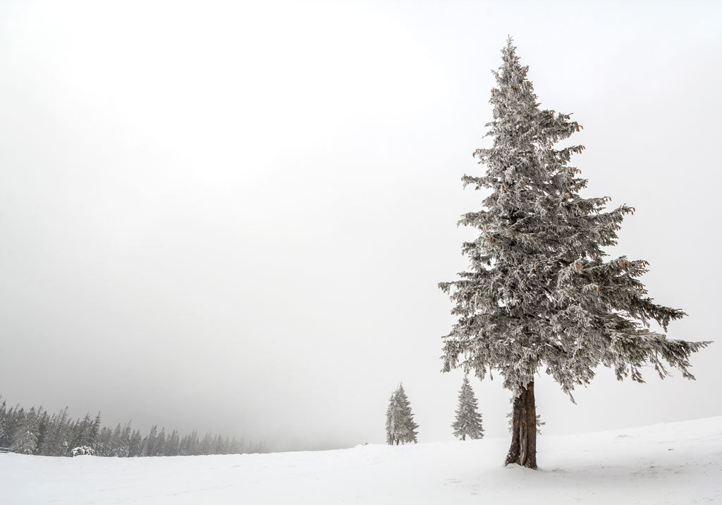 Elitemalls Gift Guide - Shop All Gifts