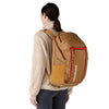 Black Hole Pack 32L Patagonia 49302-TNGO-ALL Backpacks 32L / Talon Gold