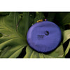 Ultimate Moon Disc Ticket To The Moon TMUDISC30 Camping Accessories One Size / Purple