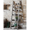 Aldsworth Shelf Ladder | Small Garden Trading AWSL01 Shelves Small / Grey Wood